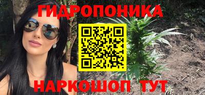 сатива Будённовск