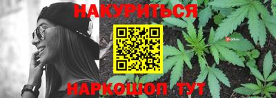 сатива Будённовск