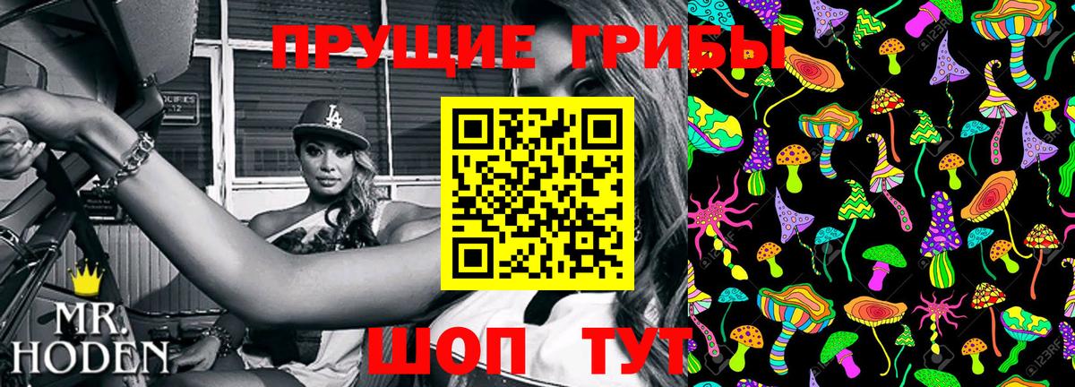 Псилоцибиновые грибы Psilocybe  Псилоцибиновые грибы Cubensis  Вход с VPN  Кропоткин 