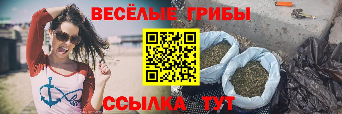 Галлюциногенные грибы GOLDEN TEACHER Кропоткин